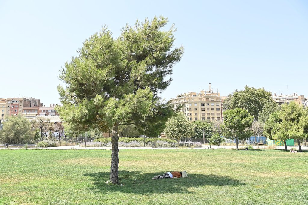 Heatwave. Summer in Barcelona, 2023